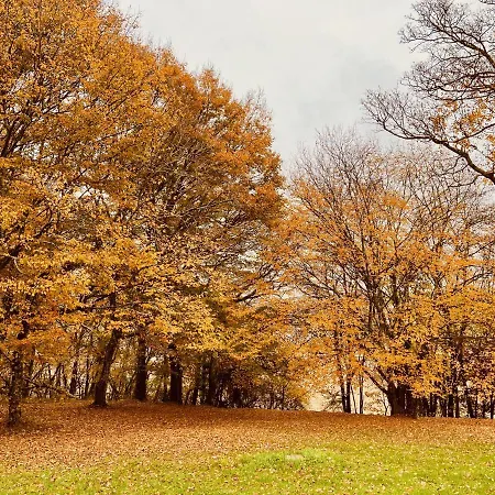 Chateau De Caractere Avec Piscine Au Coeur Du Perigord * Saint-Martial-Viveyrol