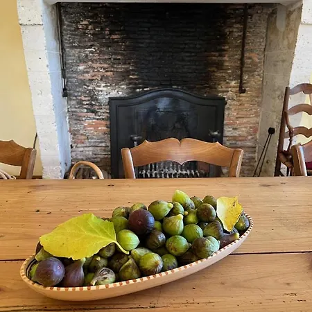 Feriehus Chateau De Caractere Avec Piscine Au Coeur Du Perigord *