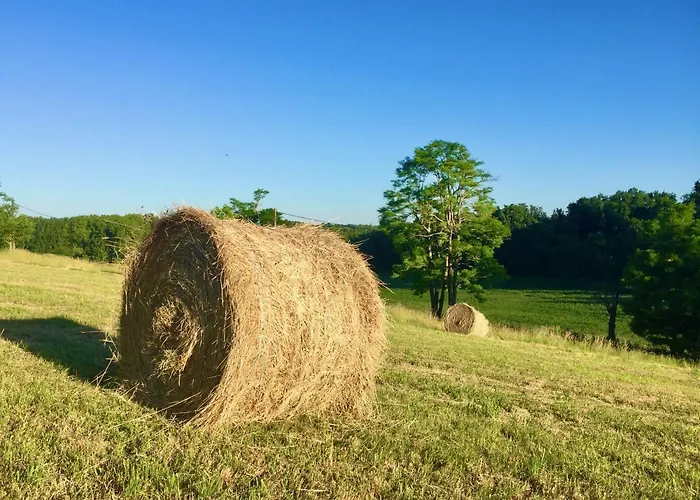 Chateau De Caractere Avec Piscine Au Coeur Du Perigord * Saint-Martial-Viveyrol