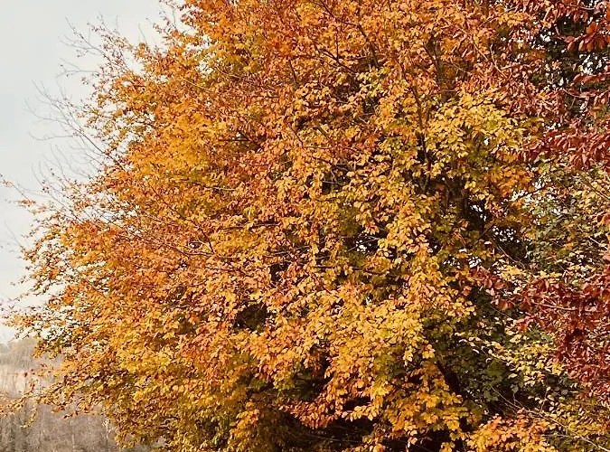Chateau De Caractere Avec Piscine Au Coeur Du Perigord Vakantiehuis *