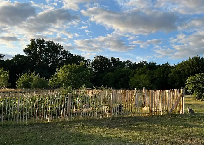 Chateau De Caractere Avec Piscine Au Coeur Du Perigord