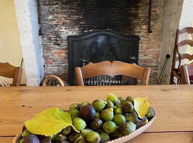 Vakantiehuis Chateau De Caractere Avec Piscine Au Coeur Du Perigord *